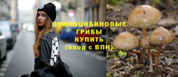 бошки Абаза
