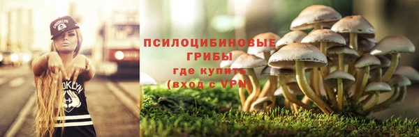 крисы Абинск