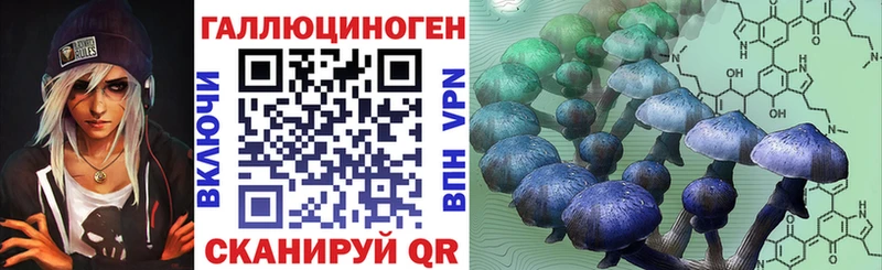 Галлюциногенные грибы MAGIC MUSHROOMS  дарк нет как зайти  Орск  закладки 
